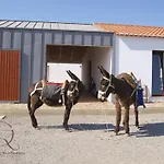 农家乐 Quinta De Sao Gabriel 马林堡